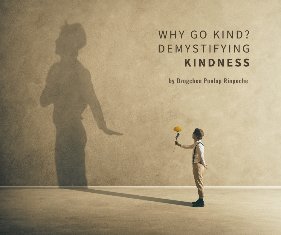 Slender man in plain shirt and tan pants, brown shoes wears a derby and holds up a single yellow flower, offering it to his large shadow on the wall. The shadow’s hand is lowered, refusing the offer.