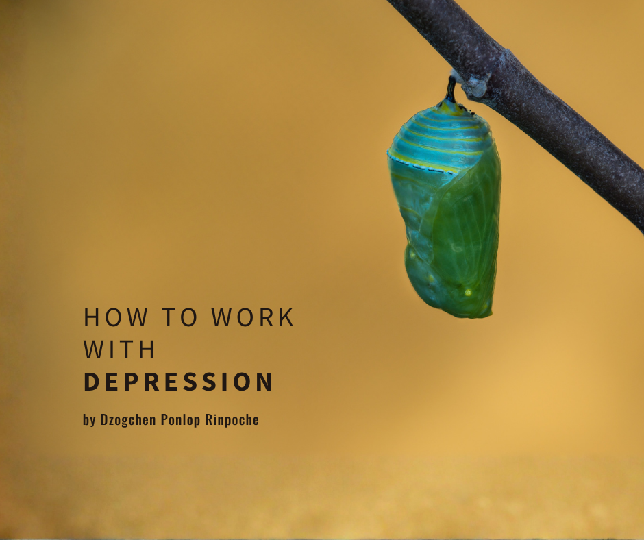 An emerald green and blue-striped closed cocoon hangs from a dark brown branch, against a blurry muted gold background.