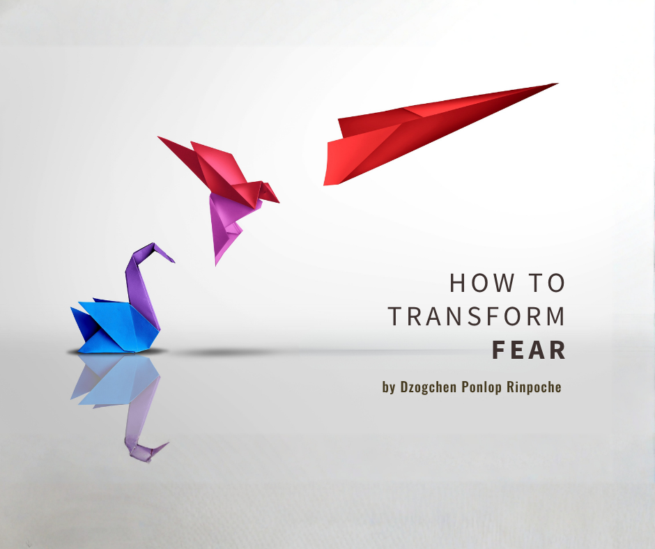 A bright blue origami swan with purple head and neck sits on smooth gray water, the reflection of the swan mirrored under the water’s surface. Above and to the right of the swan is a red and pink origami bird in flight, in line with a red origami paper airplane seeming to take off to the right.
