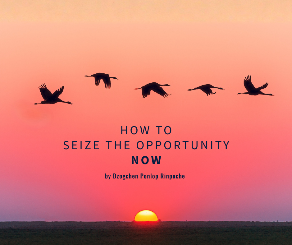 Above a dark horizon, a small golden sun rises, with lavender, orange, vivid pink, and light orange. At the upper part of the image, the silhouettes of five geese fly in a broken line from left to right.