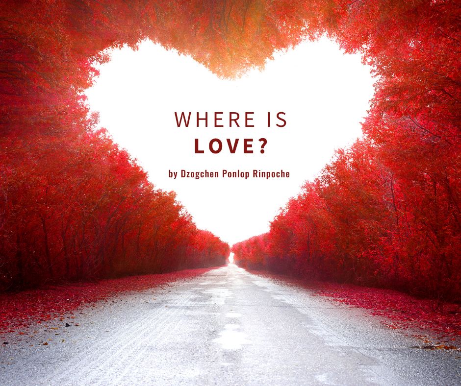 Grey road stretches into the distance, surrounded by bright red and orange trees, forming a white heart of open space in which the title appears