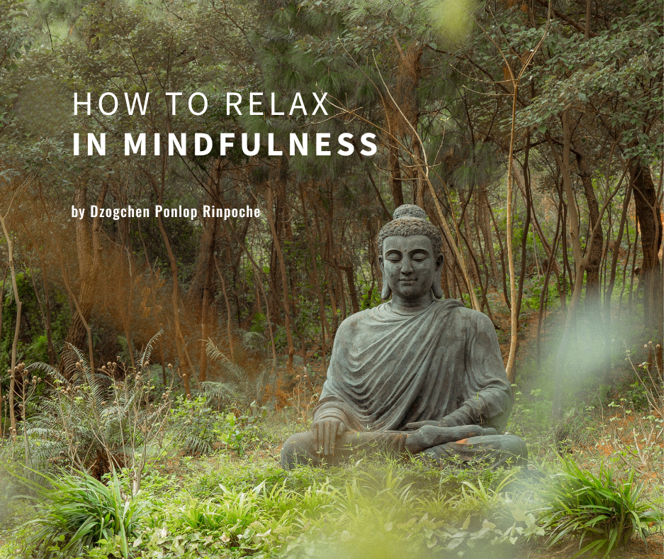 Soft gray-green Buddha statue sits in meditation posture surrounded by a lush, verdant forest with an assortment of spring green plants in the foreground