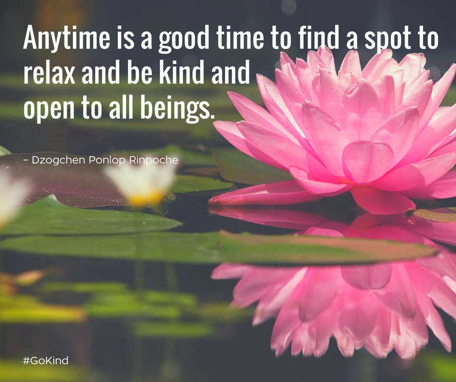 quote_Anytime is a good time to find a spot to relax and be kind and open to all beings.