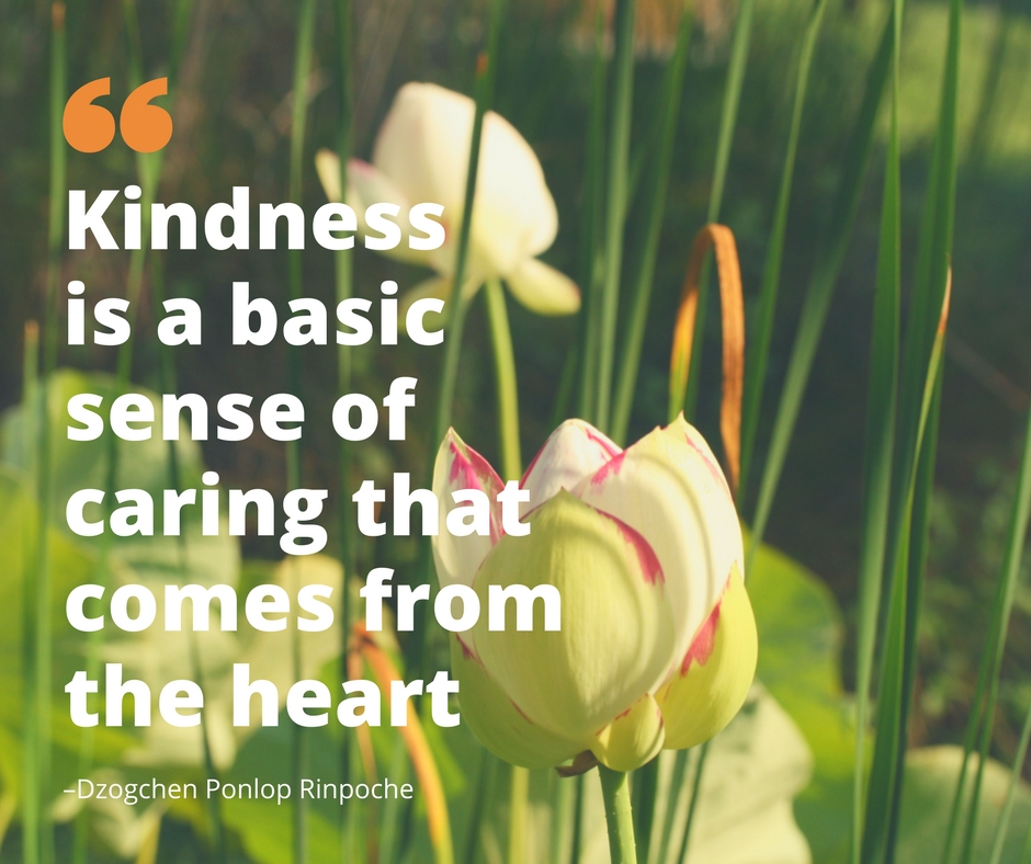 quote_kindness is a basic sense of caring that comes from the heart.