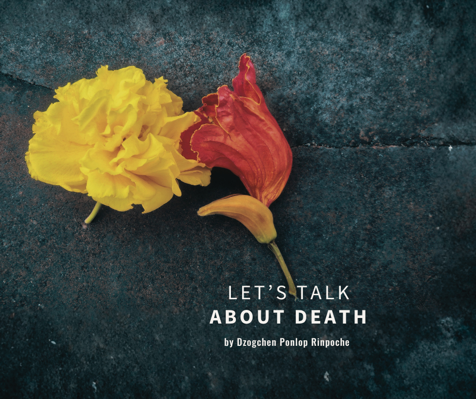 Slightly wilted yellow carnation blossom next to wilting orange tulip, both with cut stems, lie on a blue-black granite background