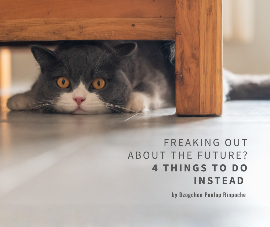A gray house cat with amber eyes and white face, pink nose and white paws stares out from underneath a wooden bed frame. In the foreground a light gray tile floor.