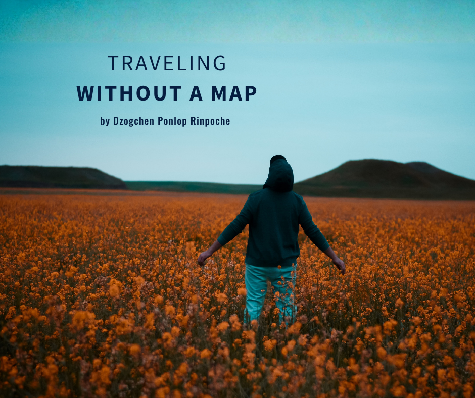 Figure stands in a vast field of blooming marigolds with low hills on the horizon and a turqouise blue sky above. The figure wears a hooded sweatshirt and turquoise pants. Their arms are out as they lean back slightly, looking up at the clear sky.