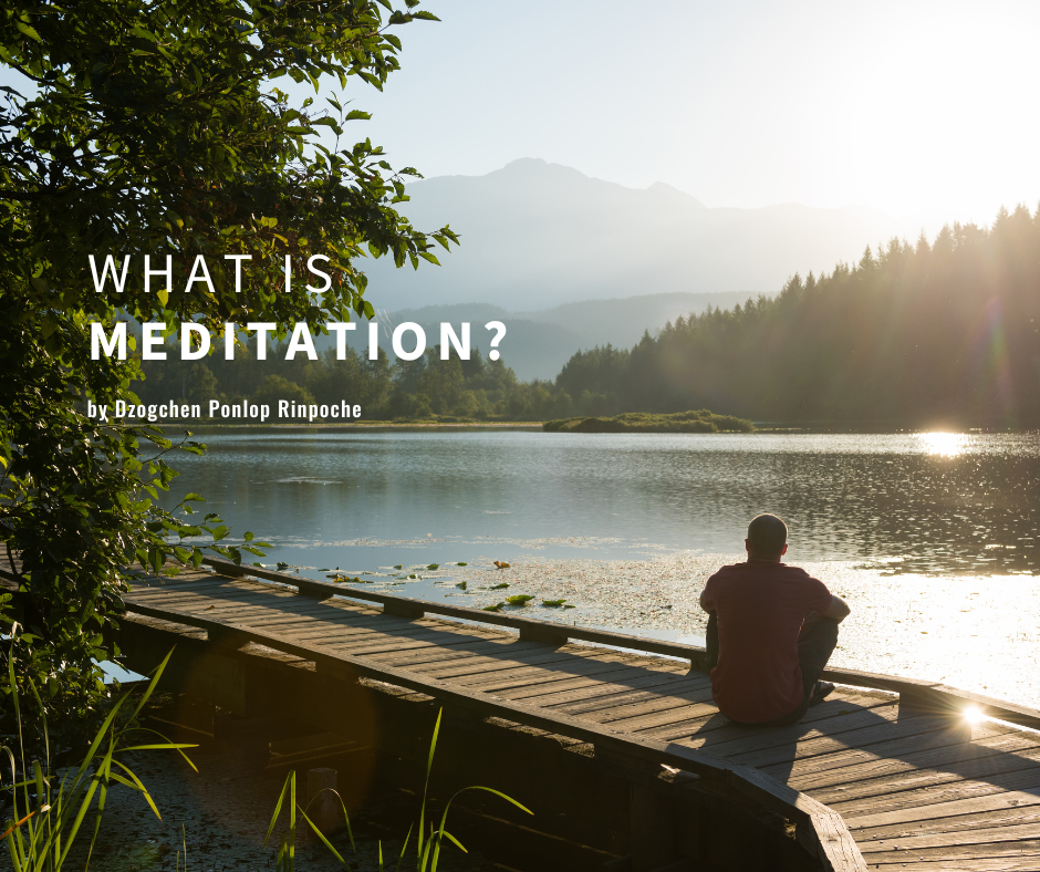Figure in silhouette, seated on a brown wooden walkway, overlooking a peaceful lake and mountains. Green tree branches in foreground upper left, and green water plants in foreground near wooden walkway