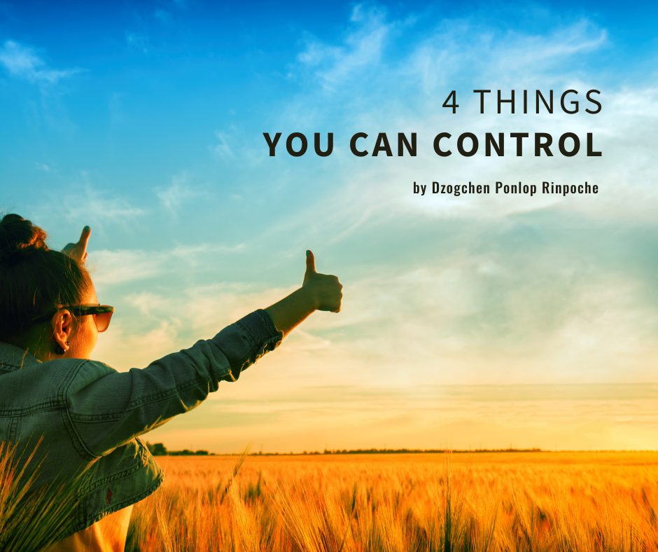 Figure with brown hair in top bun, sunshades, and green jacket stands with arms out and thumbs up, on a background of blue sky and large field of orange grasses at twilight.