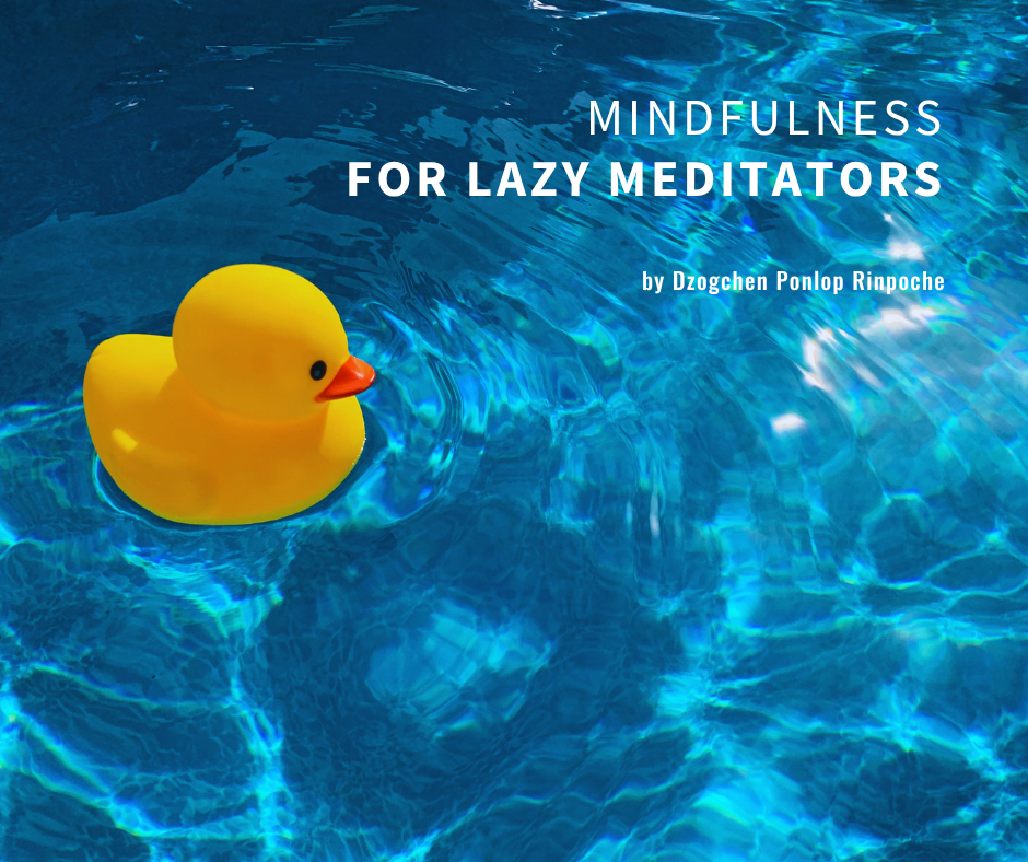 Yellow rubber duck with orange beak floats on bright blue, sunlit water