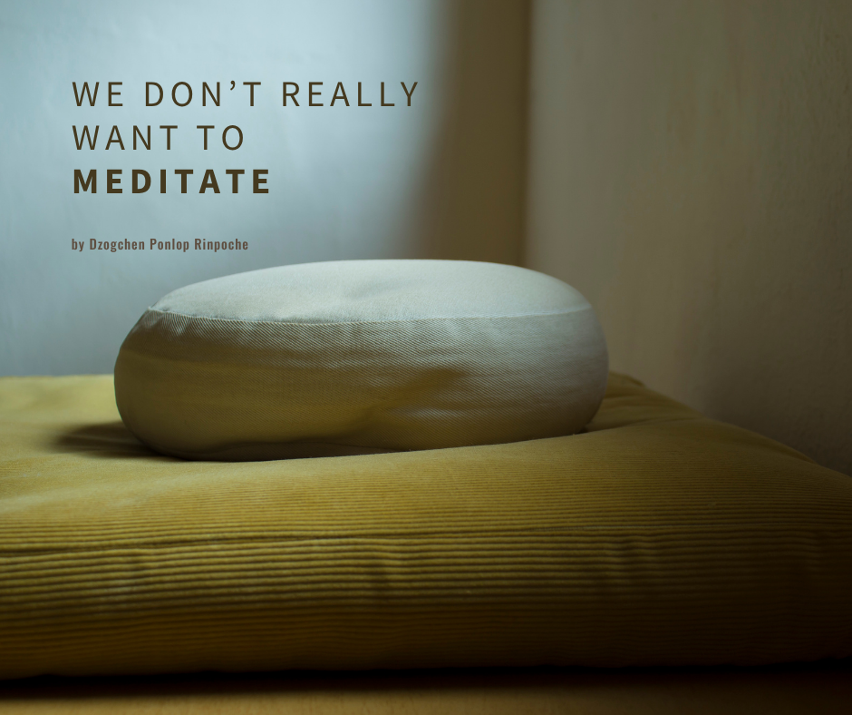 Round gray meditation cushion sits on mustard yellow zabuton in a shaded corner. Title appears in simple dark gray text on muted light blue wall behind cushion.